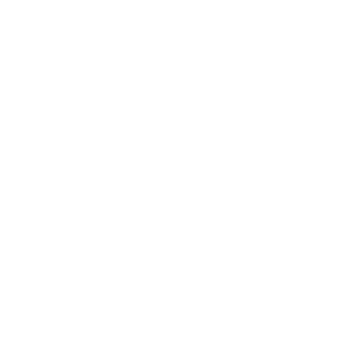 lina logo weiss